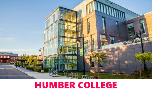 Top 5 Colleges For International Students In Canada